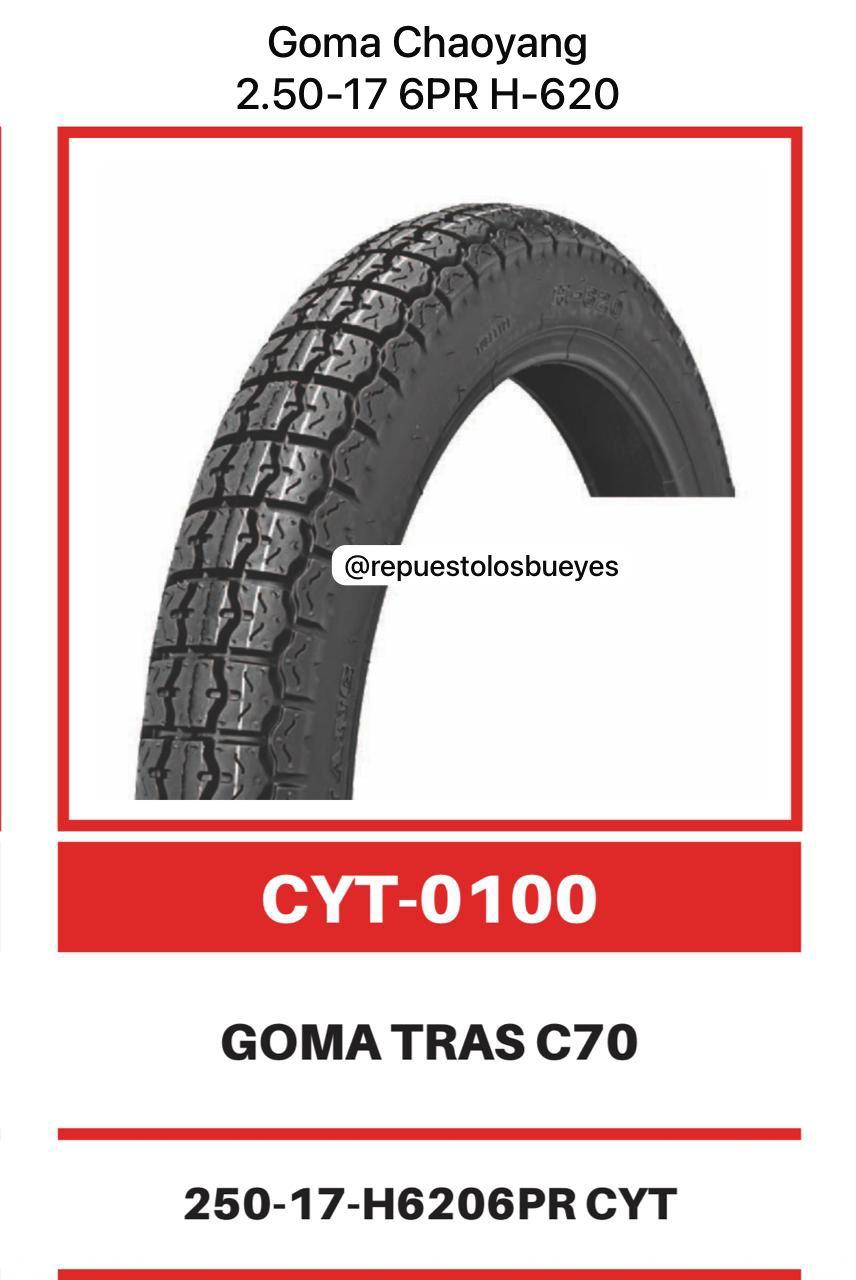 GOMA CHAOYANG 100/90-10 6 P.R. H-920 Unidad